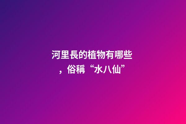 河里長的植物有哪些，俗稱“水八仙”-第1張-觀點-玄機派